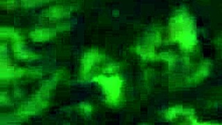 Stephanie Clover's Beautiful Face And Hard Cock In Detailed Masturbation Scene