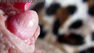 Big clit closeup during intense orgasm