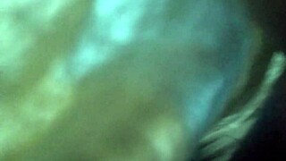 Adsw Gordinha Puta Prostitute Fun