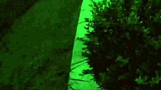 Neighbor Flashes in Shower