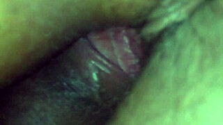 Adsw Gordinha Puta Prostitute Fun