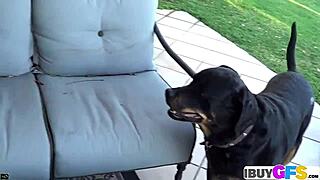 Sweet brunette says, 'I love rubbing and licking my dildo outdoors'