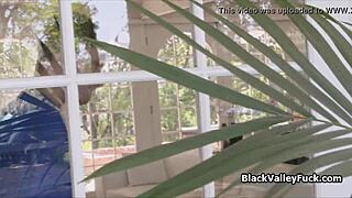 Nubian Princess Blows Big White Dick by Pool