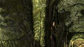 A friend like these in Skyrim roleplay?
