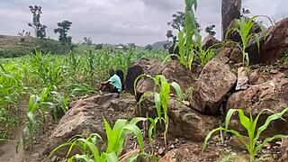 We went to the country farm to fuck a beautiful bbw with huge tits