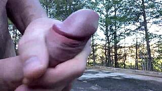 clitlicker662 update 28 img 1283 dec 31 2024