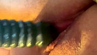 I look at my toys after playing.