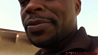 barbie and friends are much naughtier than you know