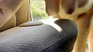 big titty hooker mckenzie gold cums hard from customer fucking her on street