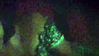 Qu� Quieres Ya Te Dije Que No Est�s Chingando