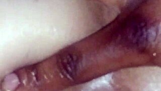 Chief Cheroke Passionately Digs Into Phat Latina Asshole.