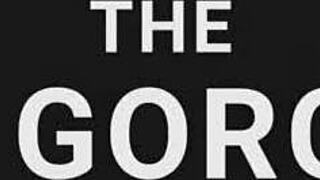 Oily massage turns lesbian fuck