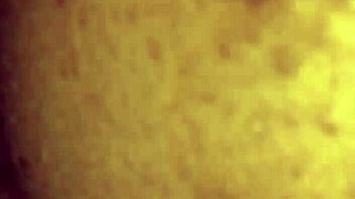 Personal experience with mrs lala in a special moment