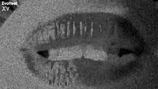 What If We Worship Big Tits And Pussy In Group Fisting?