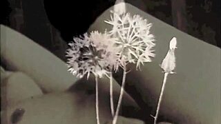 Vintage Erotic Drawings Unleashed Boldly