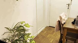 neighbor asks for sugar, gets teased