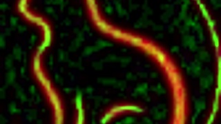 new age threesome with sluty red cat - milkingtable & sexmachine