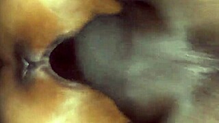 Small Pussy Vs Big Black Dick