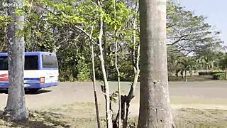 i'm monika fox, enjoying the outdoors under a tree