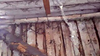 our romantic lesbian sex in hut