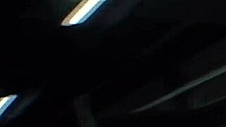 the blonde woman gets passionately fucked in various positions