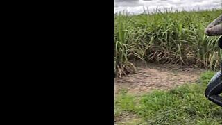 Gold coast holiday vlog with beautiful tattooed tits