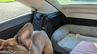 Gold coast holiday vlog with beautiful tattooed tits