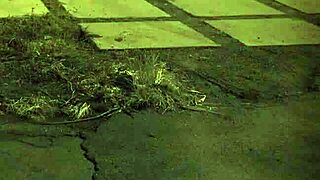 British Outdoor Sex Xxx Unless Youre From The Sixties And Dig That