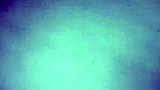 Bitch Has A Big Pussy