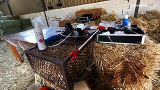 dominatrix mistress april dominates in the rosen garden part 3