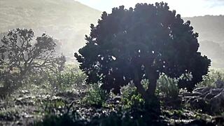 dominatrix mistress april dominates in the rosen garden part 3