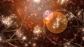 Hatsune Miku in velvet arabesque project diva full nude mod