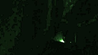 Outdoor fucking with moaning pussy pleasure