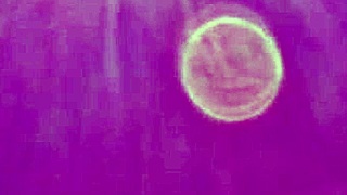 Married Woman 38 Years Old Enjoys Exciting Car Sex With Slender Figure