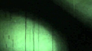 vintage erotic illustration of hairy lesbian antique scene