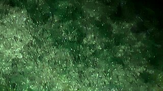 i caught her masturbating and continued to watch her until she cum