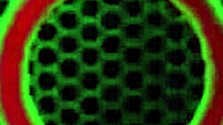 Teasing Jelena Jensen Masturbates Outdoors With Big Tits