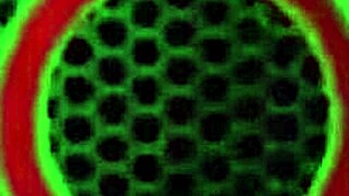 Stretching tight hole, sexy liana gets ass fucked hard