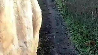 i'd love to shop with you and show my gratitude