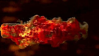 I Fucked Two Bitches Hard Near The Pool In All Holes