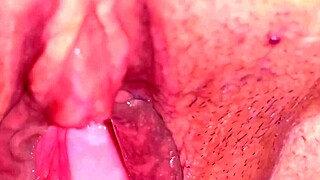 Amateur pink pussy 113 days after losing her virginity, wet and shaved