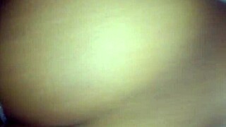 Tranny Shemale Transsexual Excitement Unleashed!