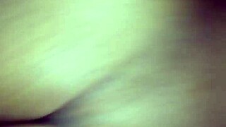 Tranny Shemale Transsexual Excitement Unleashed!