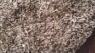 Pantyhose Show And Fuck