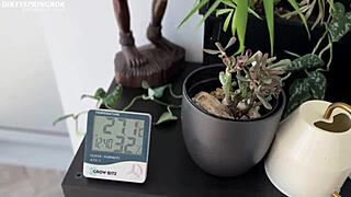 Muslim aaliyah yasin caught cum facial