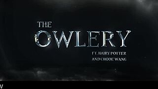 Chode Wang And The Owlery - Gobbywarts School Of Sexcraft And Wickedry Sims 4 Harry Potter Rule 34 Porn