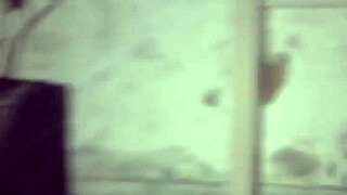 Suggestive Licking Ebony Woman's Big Ass In Lingerie On Sao Joao