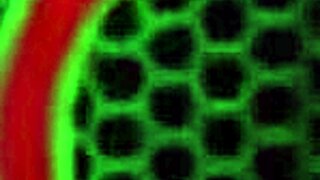 Sassy Sara Jay Takes Her Favorite Toy 2 The Bath To Fuck Herself