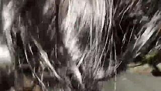 good sloppy head on big black cock