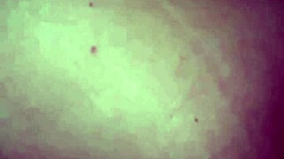 Prostitute Slut Craves Big Ass Anal Fuck